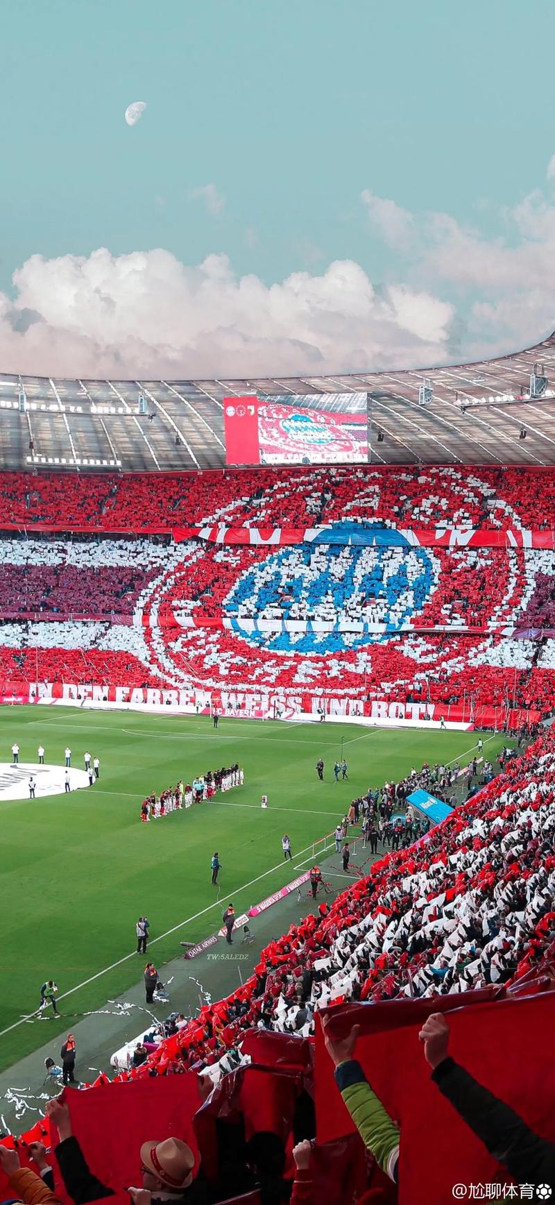 由于极端恶劣天气，阿拉伯杯决赛烟花表演全面取消（受极端天气影响，阿拉伯杯决赛焰火表演全部取消）